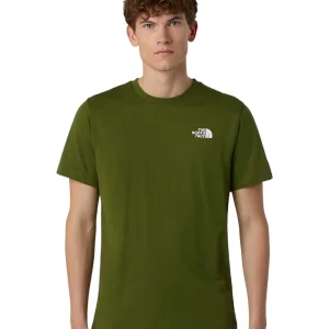 T-shirt a Maniche Corte Box NSE NF0A87NP Verde