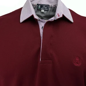 POLO Uomo Piquet  Bordeaux Collo Rigato Bianco e Bordeaux
