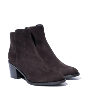 Camperino Luca Grossi Camoscio Testa Di Moro